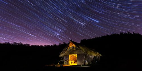 Star trails over Buster Ancient Farm